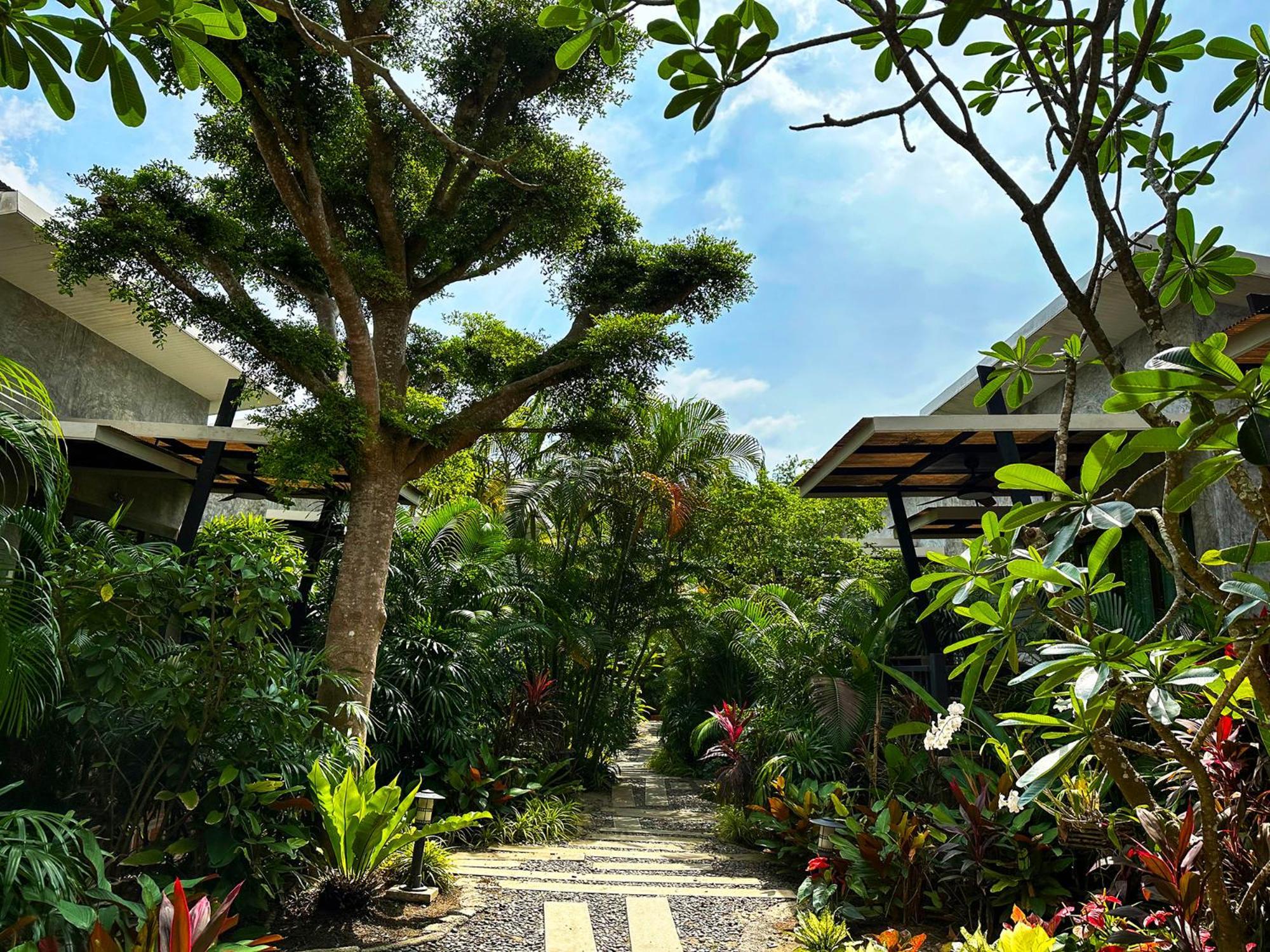 Dreamville Koh Phangan Tempat peranginan