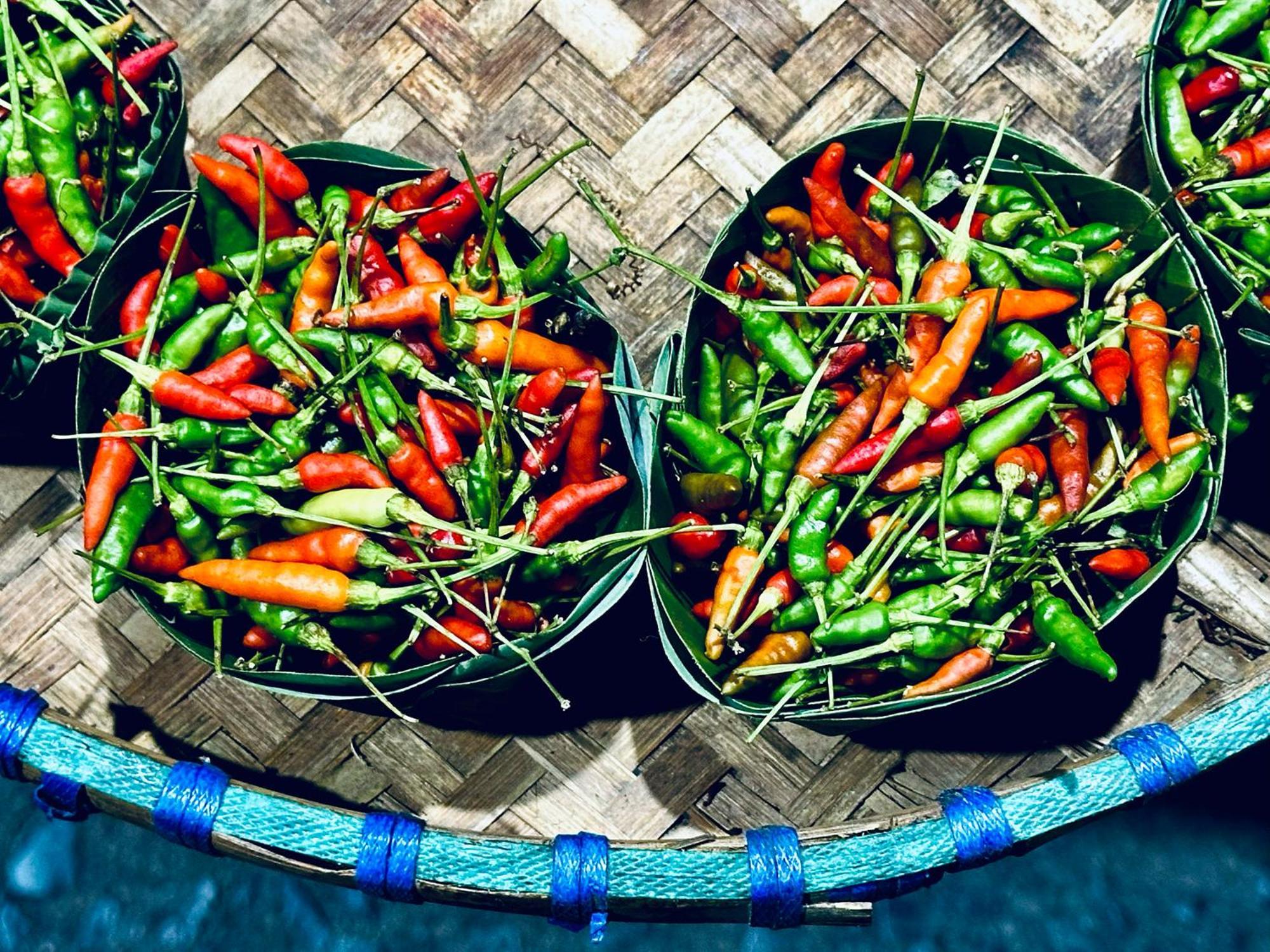 Tempat peranginan Dreamville Koh Phangan
