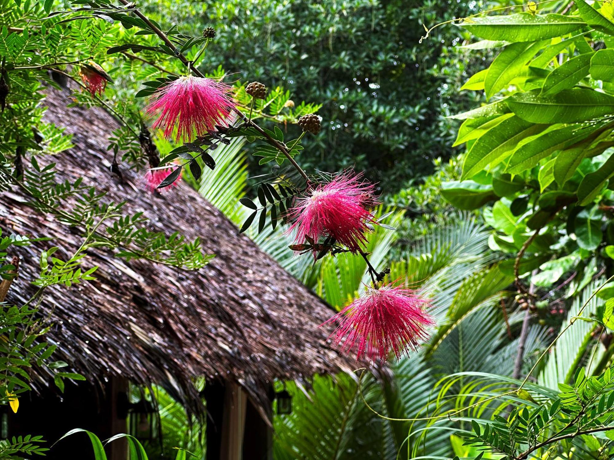 Dreamville Koh Phangan Tempat peranginan 3*