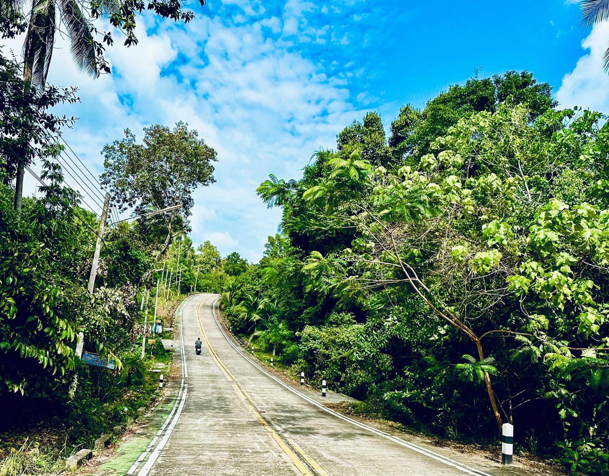 Dreamville Koh Phangan